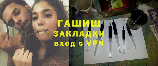 индика Алексин