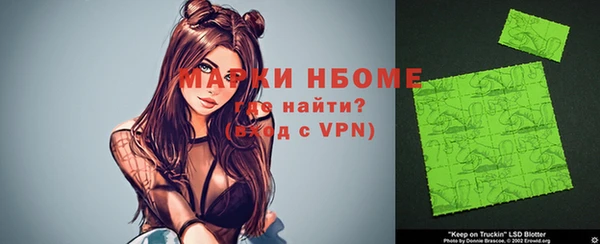 индика Алексин