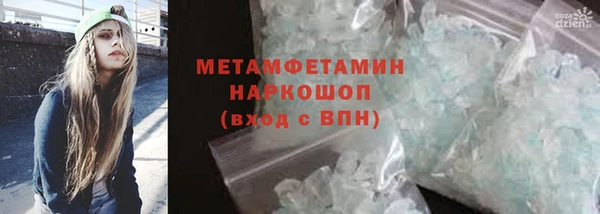 индика Алексин
