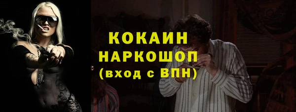 индика Алексин