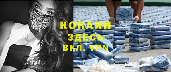 индика Алексин
