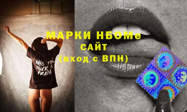индика Алексин
