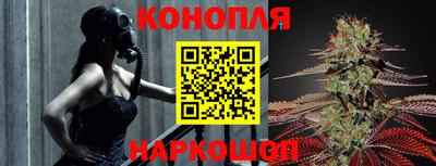 PSILOCYBIN Волгодонск