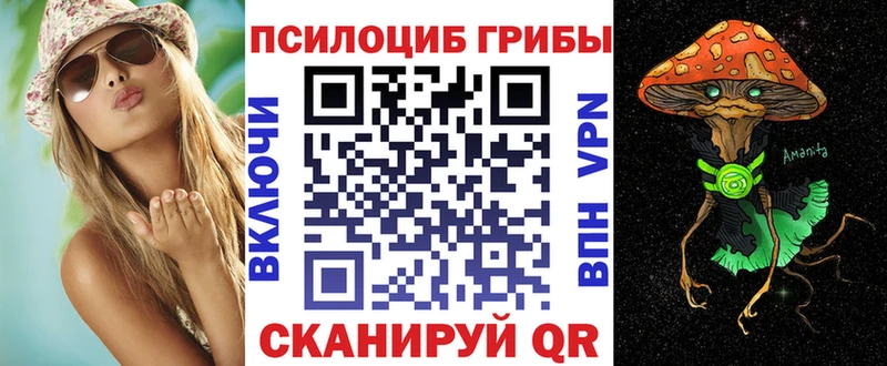 Псилоцибиновые грибы Cubensis Лысьва