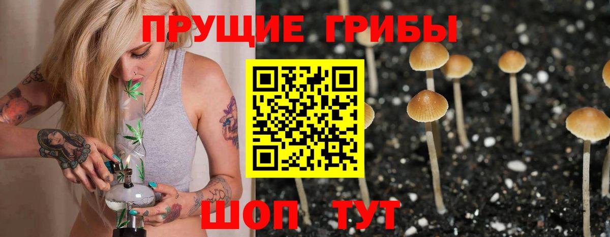 Галлюциногенные грибы Cubensis Лысьва