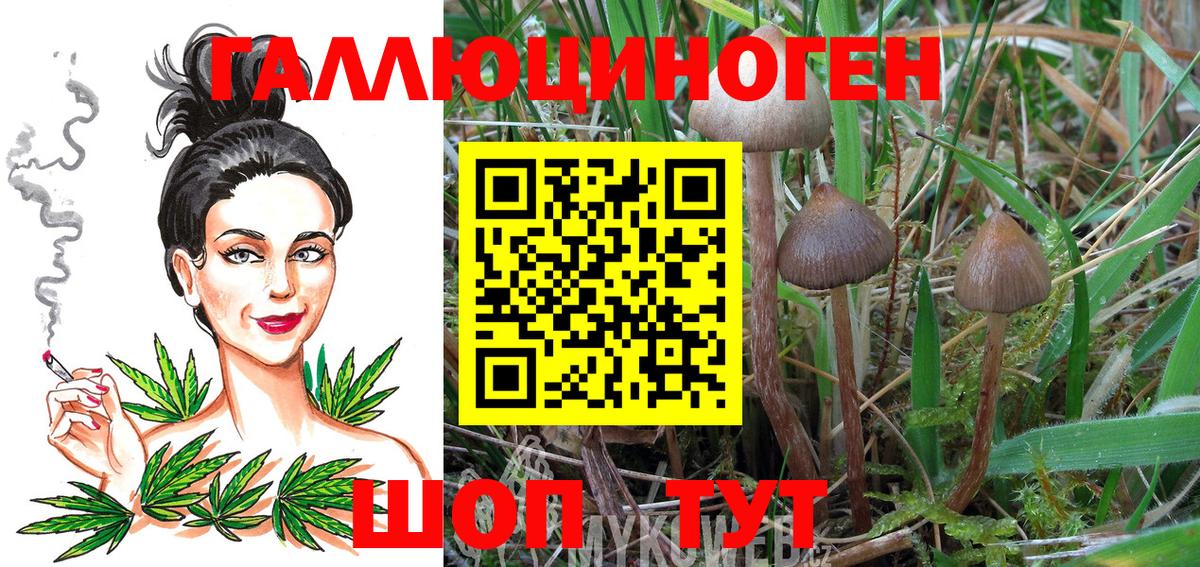 купить наркотики сайты  Псилоцибиновые грибы Cubensis  Галлюциногенные грибы GOLDEN TEACHER  Вход с VPN  Лысьва 